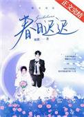 春日迟迟不渡我