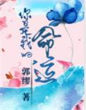 你是我的命运