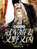 重生九零冠军娇妻又野又凶免费