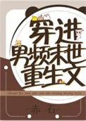 穿进男频重生文番外 作者赤石