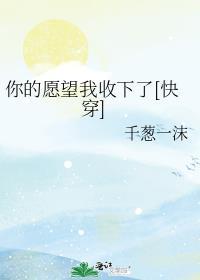 你的愿望我收下了快穿TXT