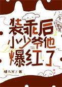 装乖后小少爷他爆红了洁吗