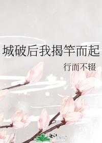 破城后我揭竿而起免费阅读