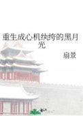 重生心机婊