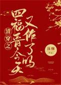 清穿之四爷福晋的