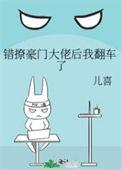 错撩豪门小叔后