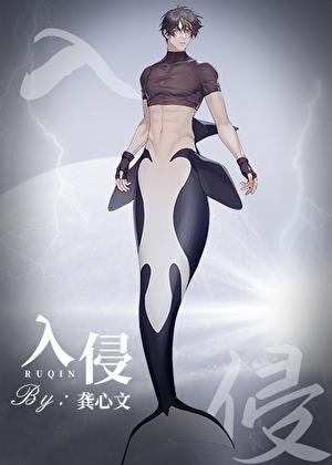 入侵什么意思?