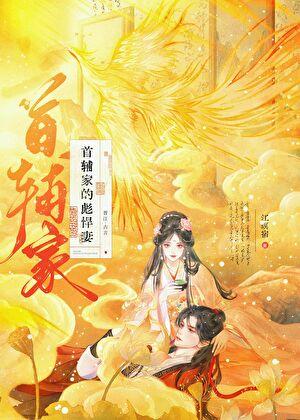 首辅的家小妻子