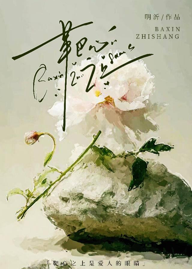 靶心价格是什么