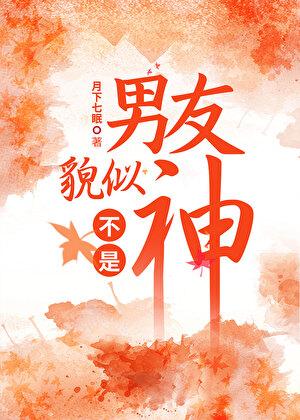 男友貌似不是神晋江