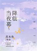 当夜幕降临之时 电影