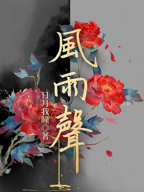 劲舞团风雨声