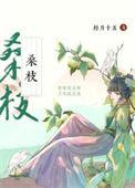 古代药膳手札 朽月十五百度