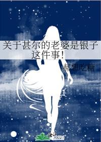 甚尔的武器