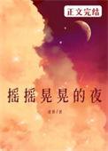 摇摇晃晃的夜介绍