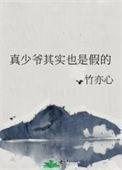 真少爷是什么里的角色