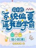 穿书系统误我完整篇