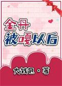 我金丹当结石TXT
