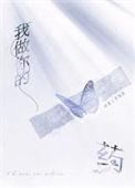 我做你的眼睛歌词