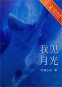 我见月光书评