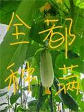 我把修仙上交国家