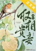 权相宠妻