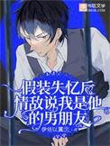 假装失忆后情敌说我是他的男朋友免费阅读