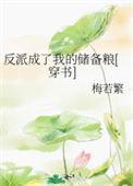 反派成了我备胎