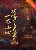 一不小心攻略了渣男