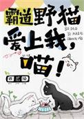 霸道野猫爱上我喵免费阅读