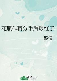 花瓶作品