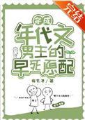 穿成年代文男主的小