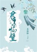 君子怀璧木沐梓全文