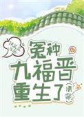清穿九福晋空间生子果