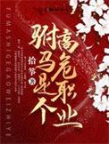 驸马是个高危职业评价