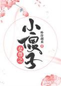 女尊之傻皇子