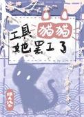 猫咪工具箱新版