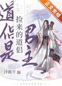 捡来的道侣续集更新时间