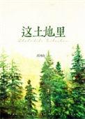 歌词有这片土地是啥歌