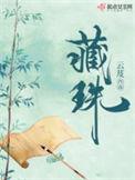 藏珠免费