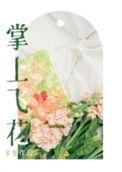 掌上飞花 晋江