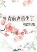 重生知青前妻怀孕了的