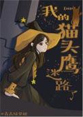 HP我的猫头鹰txt百度