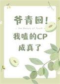 我嗑的cp成真了外番 车车TXT