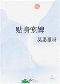 贴身宠婢番外txt免费阅读