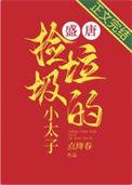 盛唐捡垃圾的小太子番外
