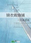 锦衣现代文33