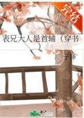 表兄大人是首辅完整版