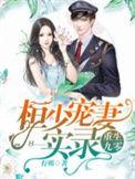 重生九零恒少实力宠妻