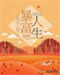 重回九零当富翁